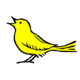 European Keyboard Heritage Network